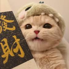 LeoTheBettor